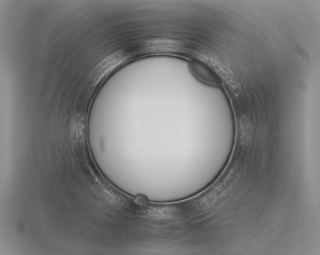 X0000115761225200912111039