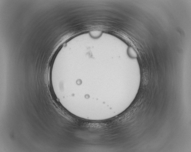 X0000115761227200912111039