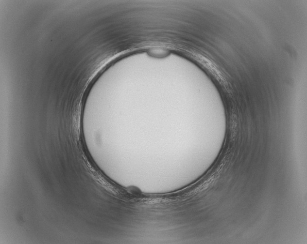 X0000115761228200912111039