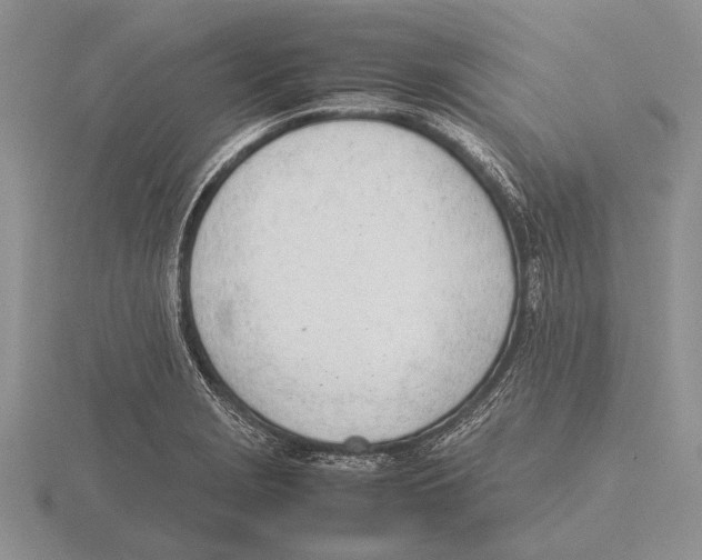 X0000115761229200912111039