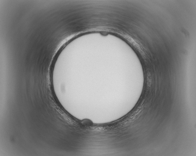 X0000115761230200912111039