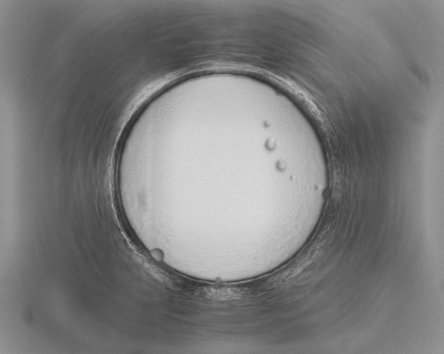 X0000115761231200912111039