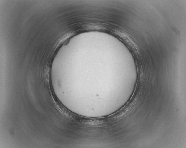 X0000115761233200912111039