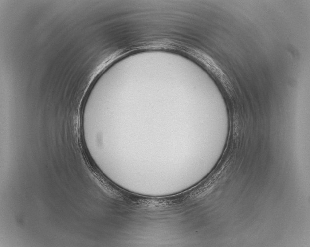 X0000115761234200912111039