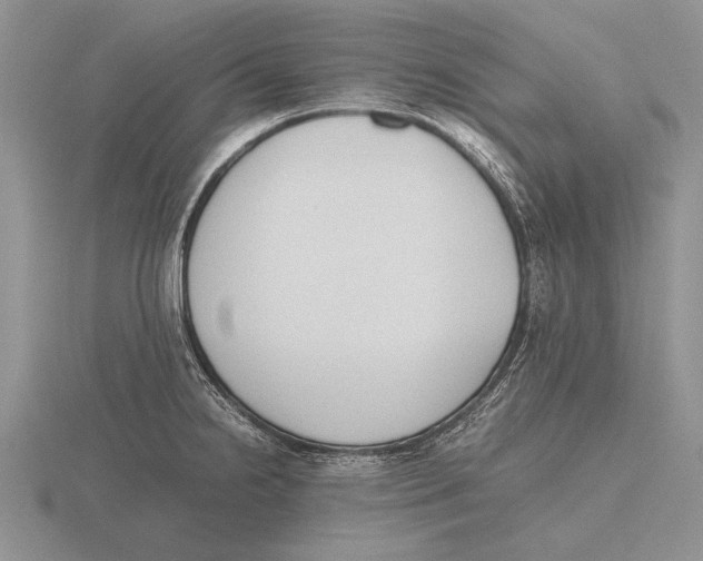 X0000115761238200912111039