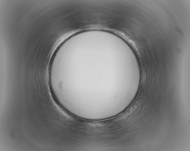 X0000115761239200912111039