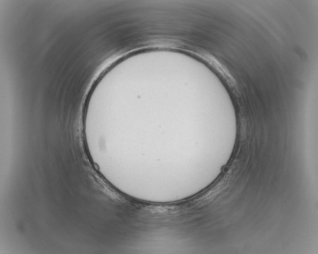 X0000115761240200912111039