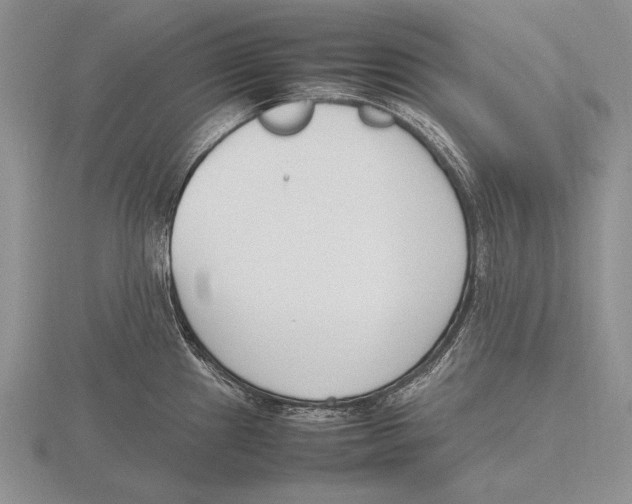 X0000115761241200912111039