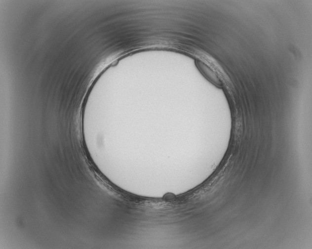 X0000115761242200912111039