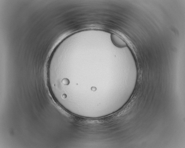 X0000115761243200912111039