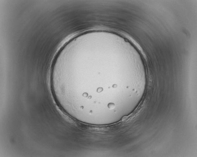 X0000115761245200912111039