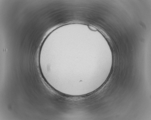 X0000115761246200912111039