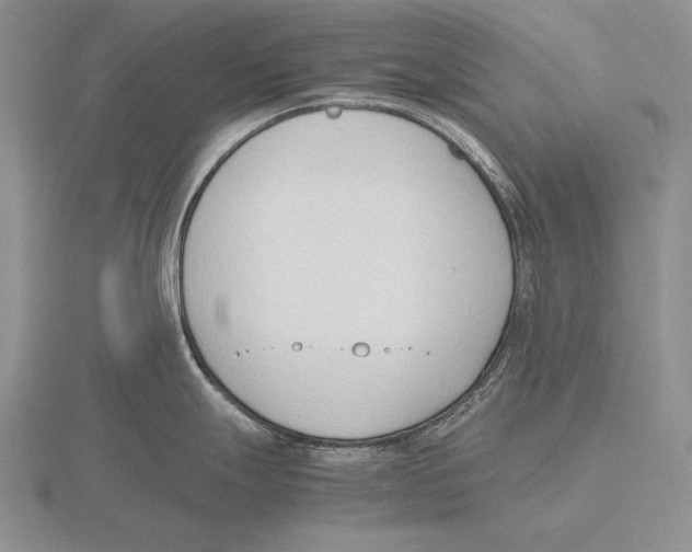 X0000115761247200912111039