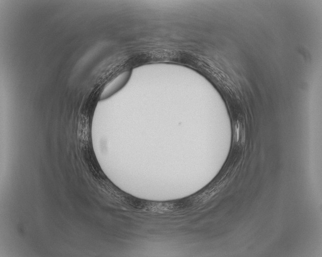 X0000115761251200912111038