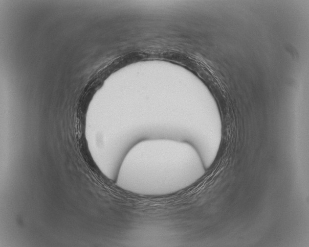 X0000115761253200912111038