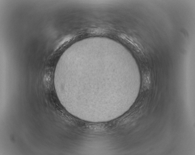 X0000115761254200912111038