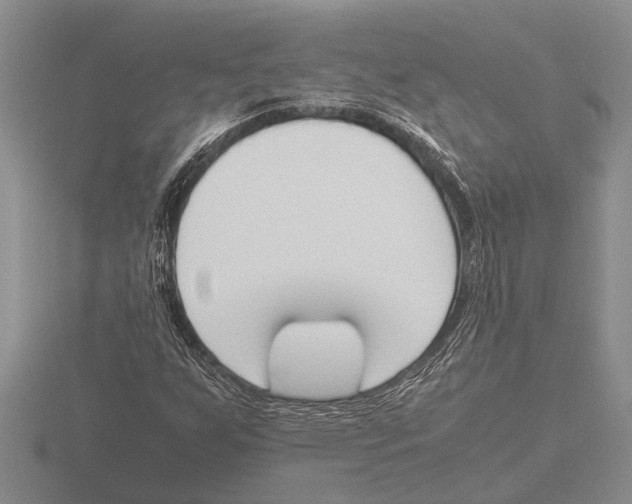 X0000115761255200912111038