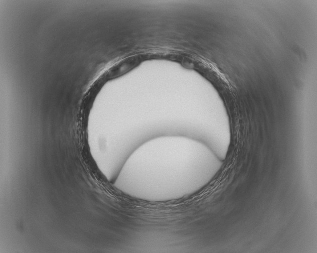 X0000115761256200912111038