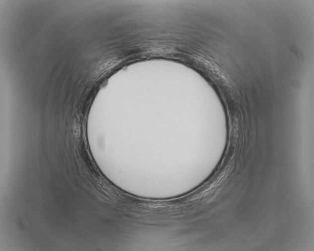 X0000115761257200912111038