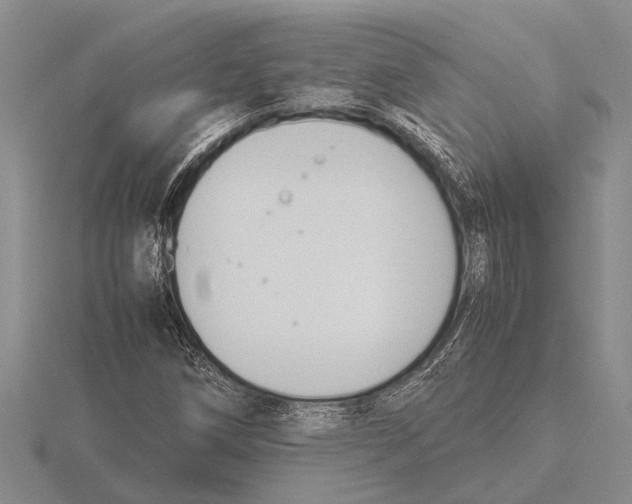 X0000115761258200912111038