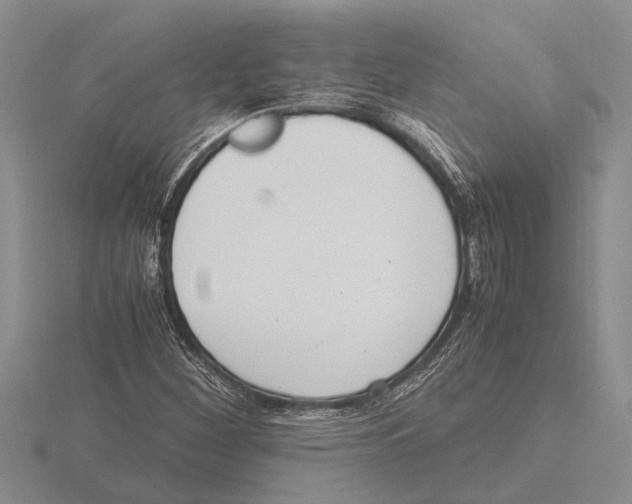 X0000115761260200912111038