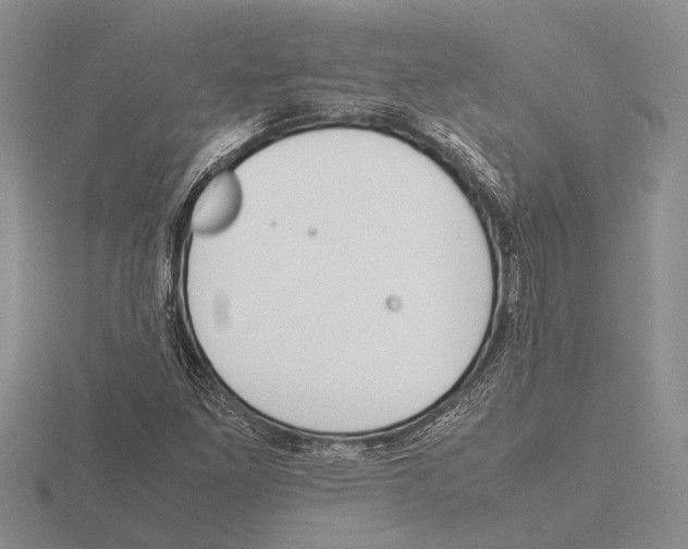 X0000115761261200912111038