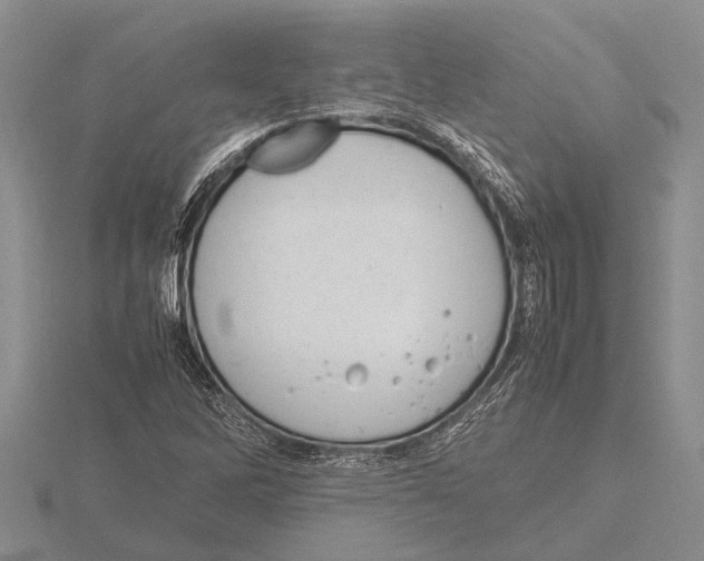 X0000115761262200912111038