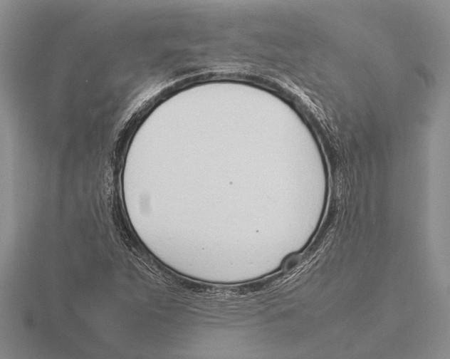 X0000115761263200912111038