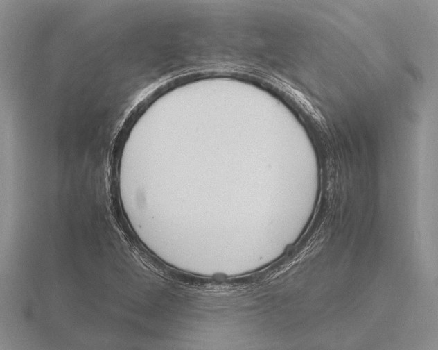 X0000115761264200912111038