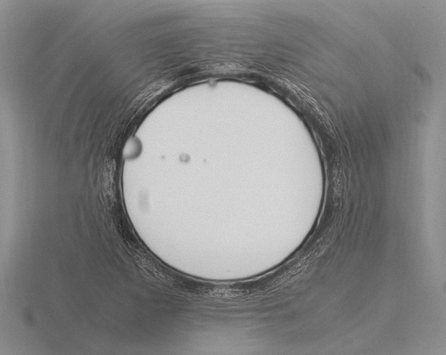 X0000115761265200912111038