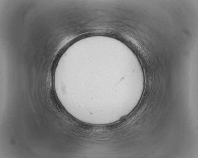 X0000115761267200912111038