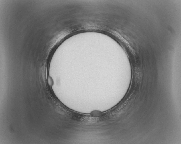 X0000115761269200912111038