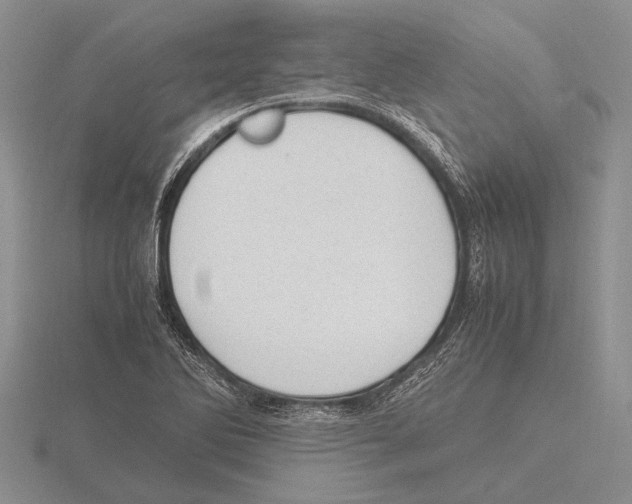 X0000115761270200912111038