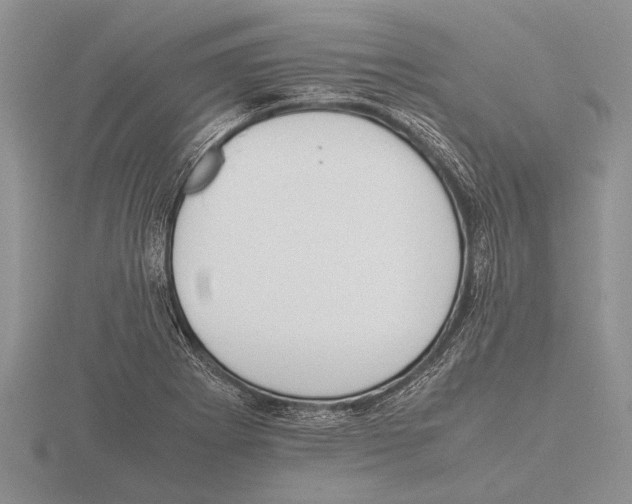 X0000115761273200912111038