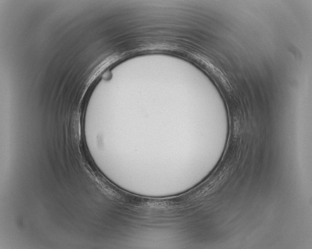 X0000115761274200912111038