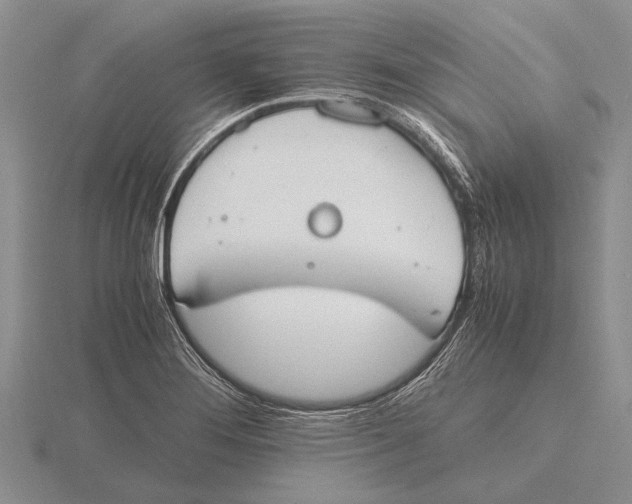 X0000115761276200912111038