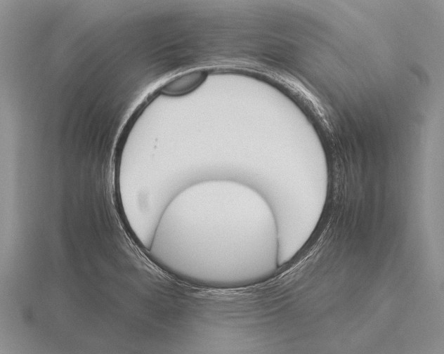 X0000115761280200912111038