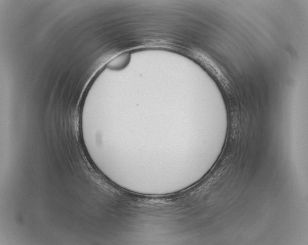 X0000115761284200912111038