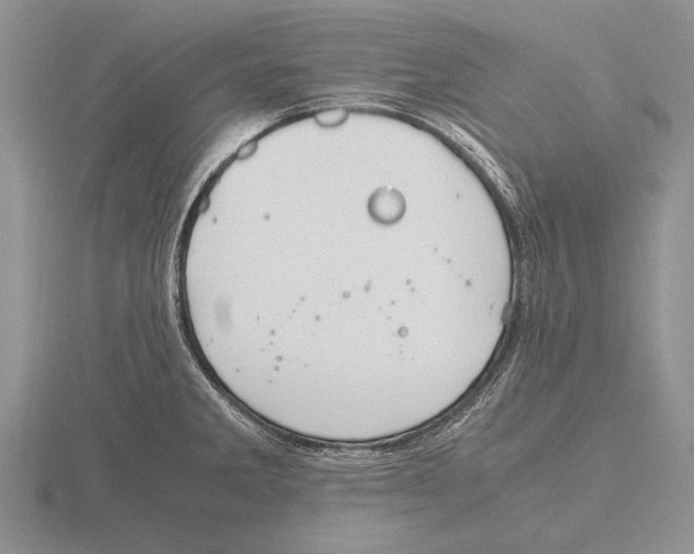 X0000115761285200912111038