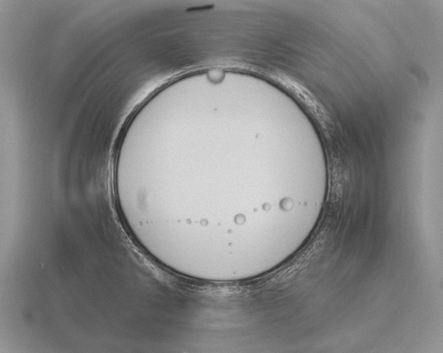 X0000115761286200912111038