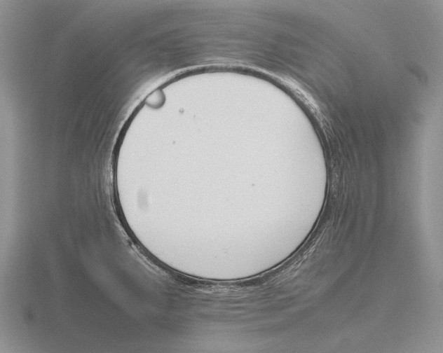 X0000115761287200912111038