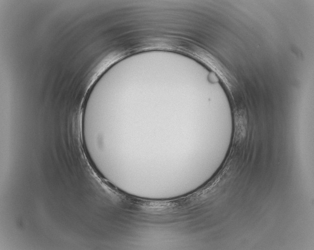 X0000115761290200912111038