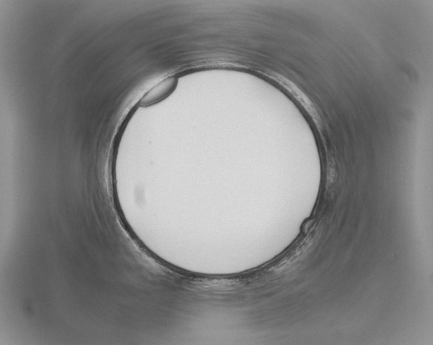 X0000115761293200912111038