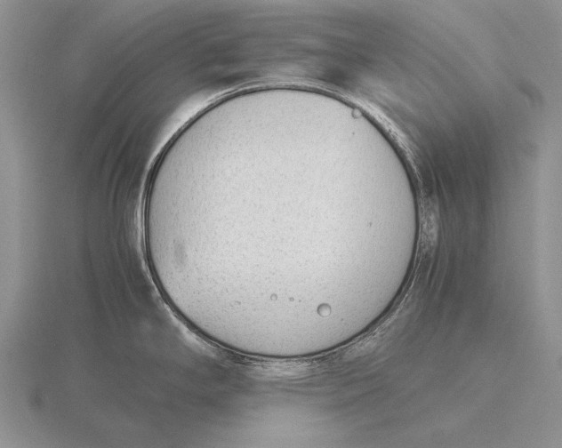 X0000115761294200912111038