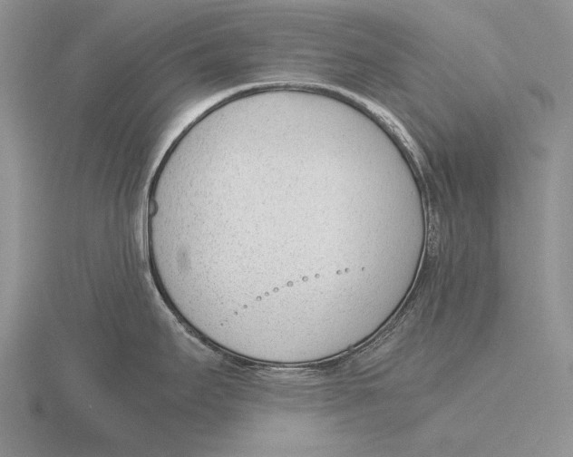 X0000115761295200912111038