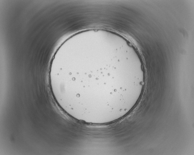 X0000115761296200912111038