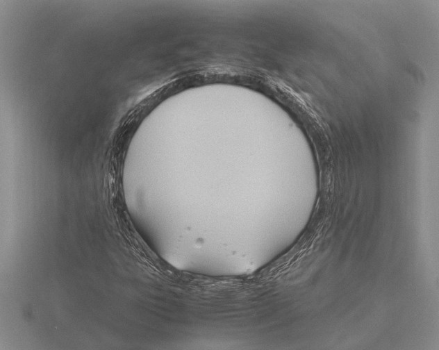 X0000115761303200912111037