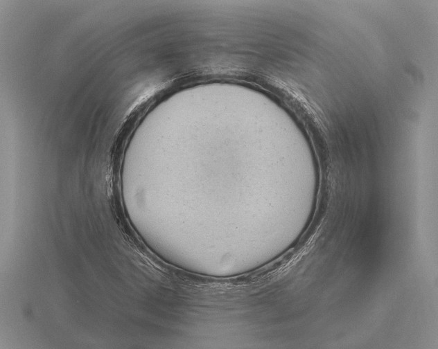 X0000115761306200912111037