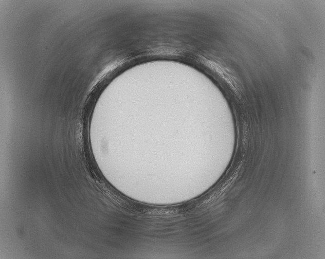 X0000115761307200912111037