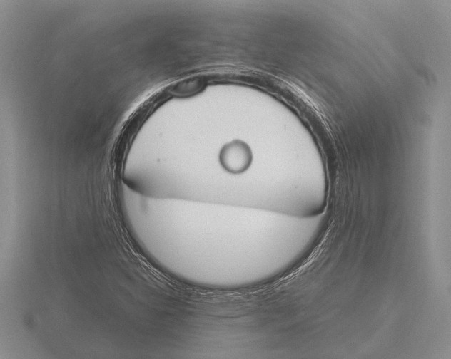 X0000115761310200912111037